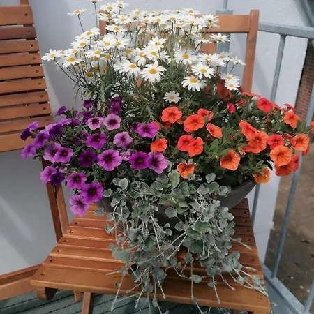 Norderbarg Bredstedt