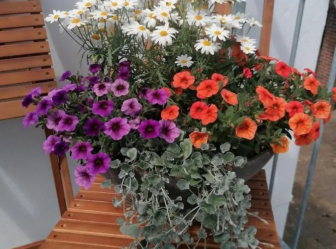 Norderbarg Bredstedt